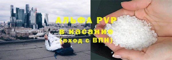 spice Аркадак