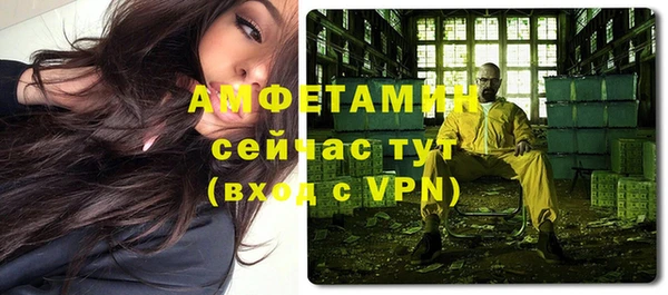 хмурый Алексин
