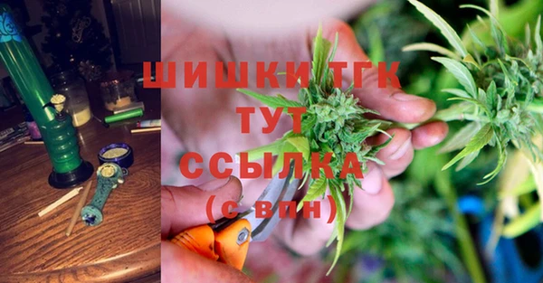 spice Аркадак