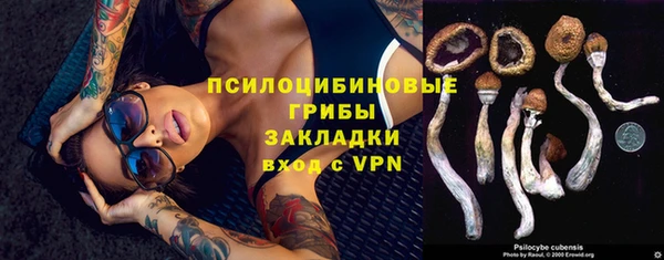 хмурый Алексин