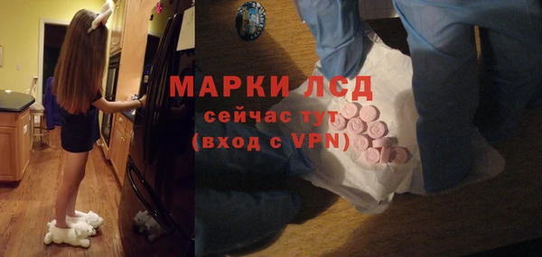 мяу мяу мука Пролетарск