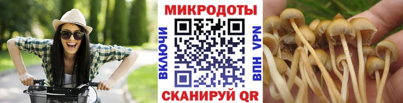 где купить наркоту  Шахты  Галлюциногенные грибы мицелий 